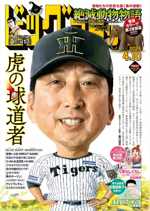 ビッグコミック