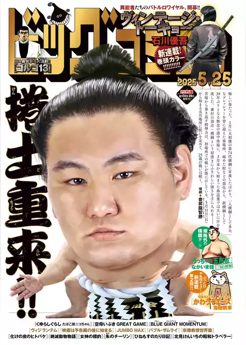 ビッグコミック