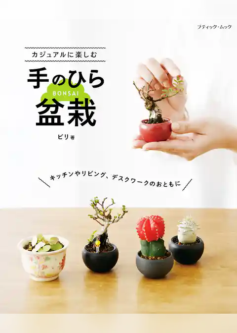 カジュアルに楽しむ手のひら盆栽