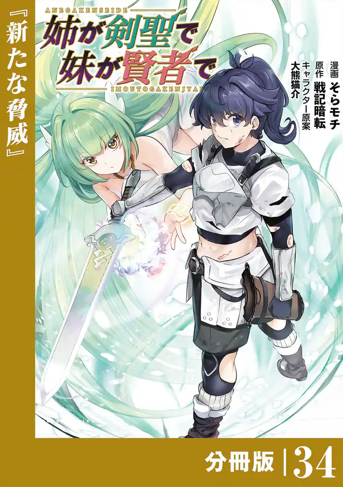 姉が剣聖で妹が賢者で【分冊版】（ポルカコミックス）３４