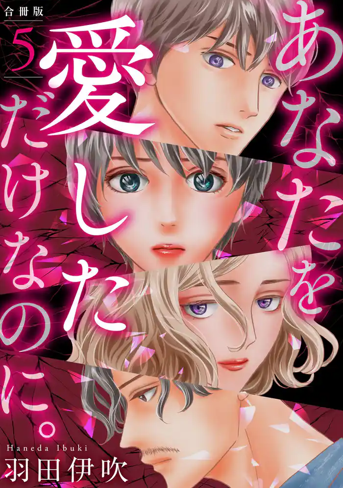 あなたを愛しただけなのに。合冊版5