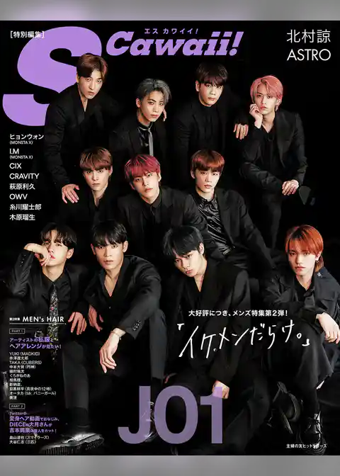 Ｓ　Ｃａｗａｉｉ！特別編集『イケメンだらけ。』