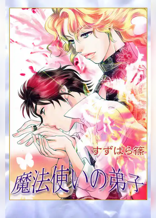 魔法使いの弟子