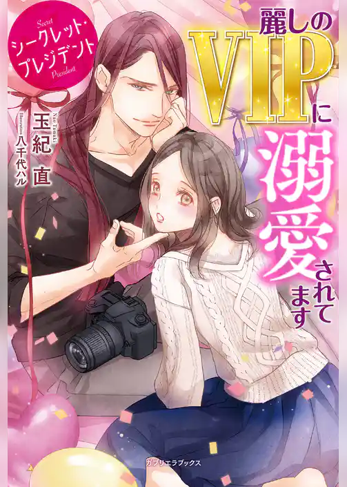シークレット・プレジデント　麗しのVIPに溺愛されてます【特典SS付き】