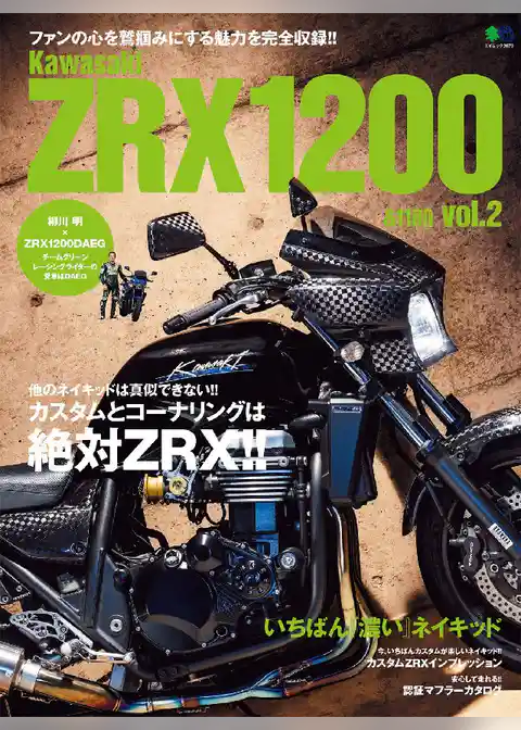 Kawasaki ZRX1200 & 1100