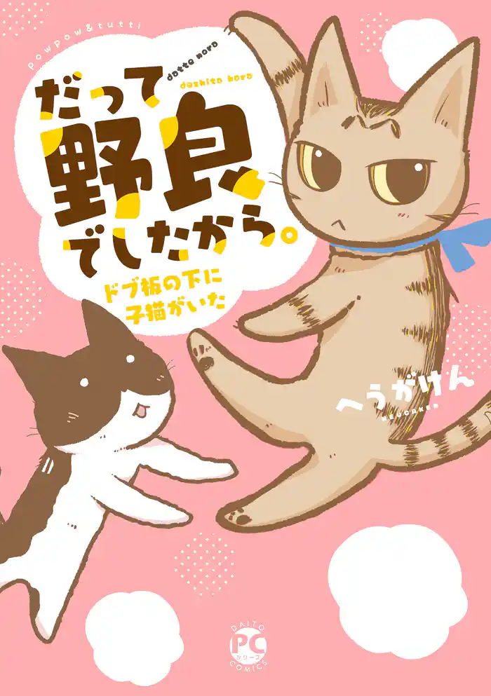 だって野良でしたから。 ドブ板の下に子猫がいた