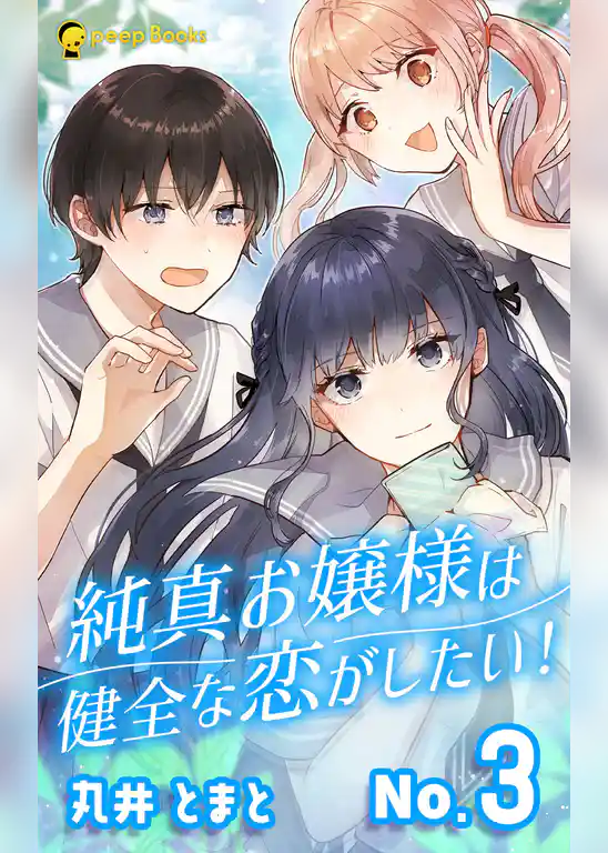 純真お嬢様は健全な恋がしたい！（ノベル）