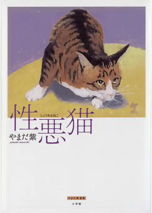 性悪猫