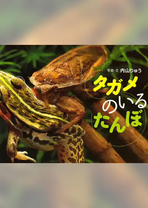 タガメのいるたんぼ