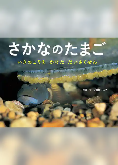 さかなのたまご