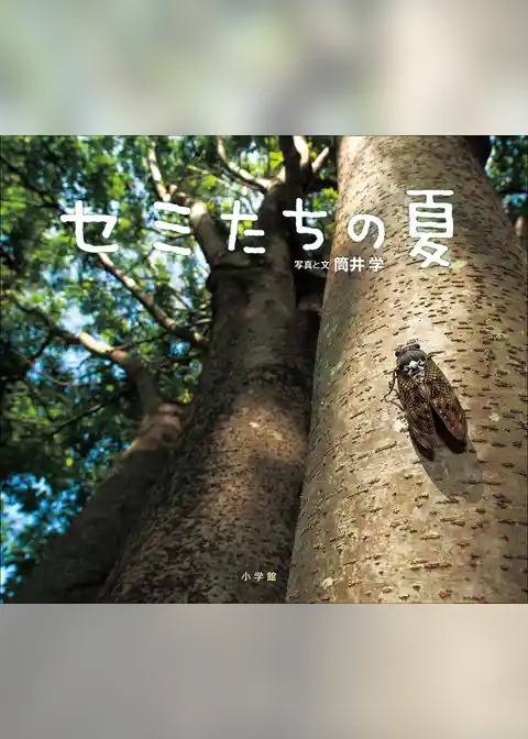 セミたちの夏（小学館の図鑑NEOの科学絵本）