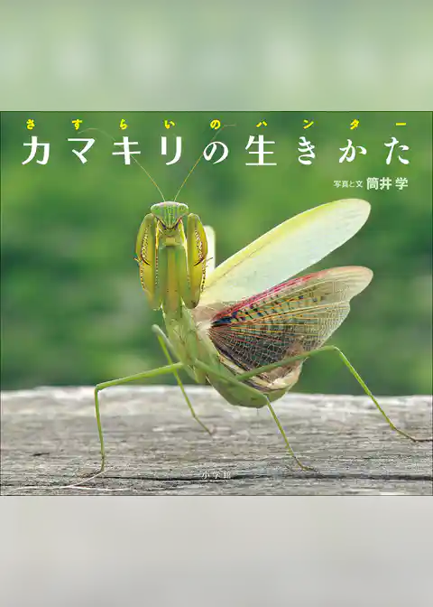 カマキリの生きかた　～さすらいのハンター～（小学館の図鑑NEOの科学絵本）