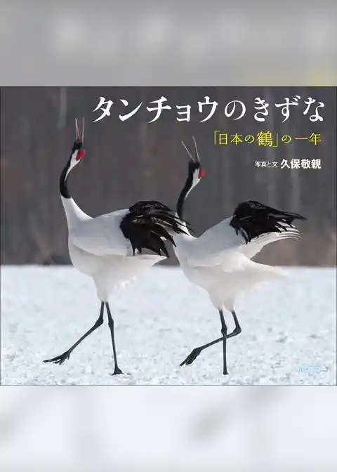 タンチョウのきずな　～「日本の鶴」の一年～（小学館の図鑑NEOの科学絵本）
