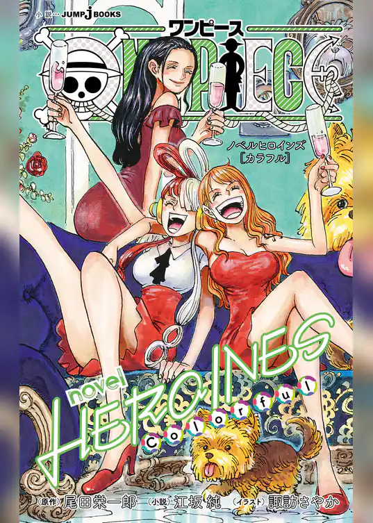 ONE PIECE novel HEROINES