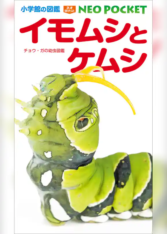 小学館の図鑑NEOポケット イモムシとケムシ　～チョウ・ガの幼虫図鑑～