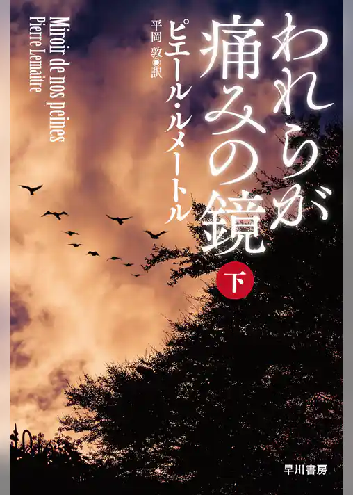 われらが痛みの鏡