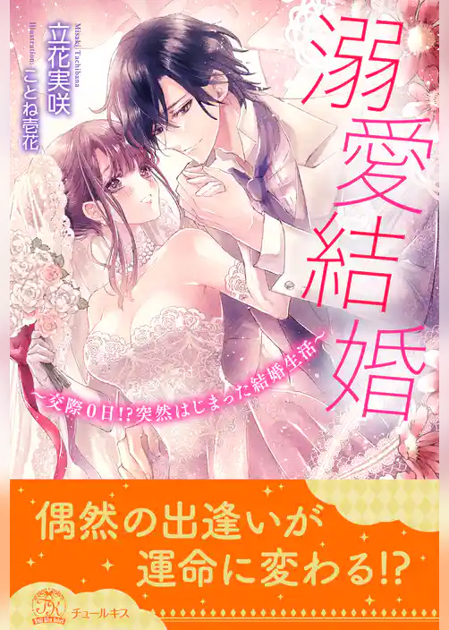 【全1-5セット】溺愛結婚　～交際０日！？突然はじまった結婚生活～【イラスト付】