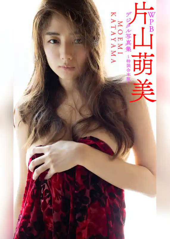 WPB 片山萌美デジタル写真集～特装合本版～