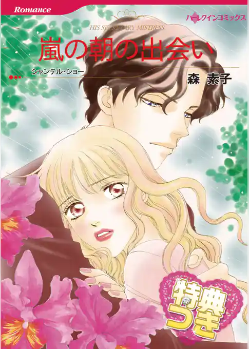 嵐の朝の出会い【特典付き】