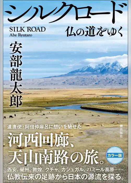 シルクロード 仏の道をゆく