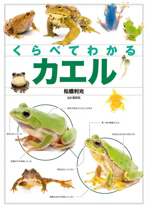 くらべてわかるカエル