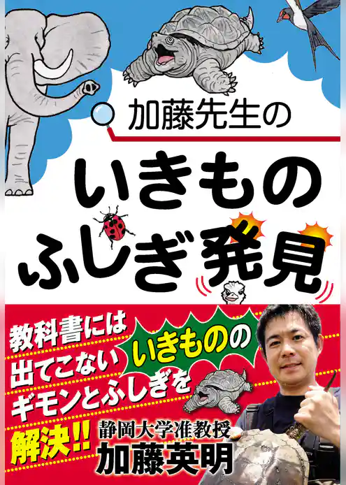 加藤先生のいきものふしぎ発見