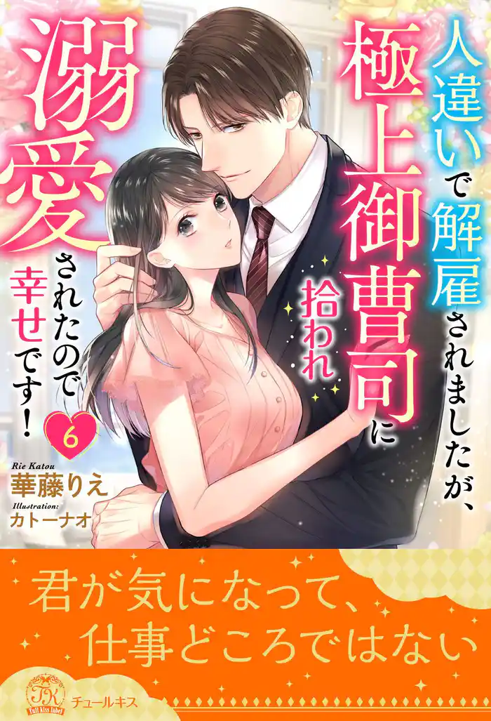人違いで解雇されましたが、極上御曹司に拾われ溺愛されたので幸せです!【6】
