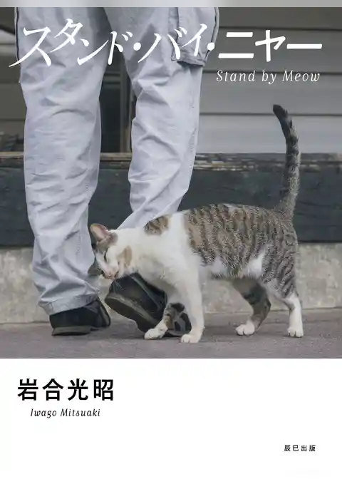 スタンド・バイ・ニャー 岩合光昭写真集
