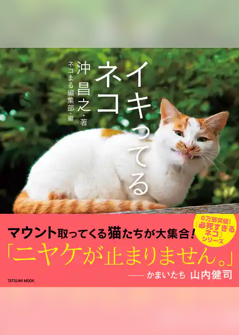 イキってるネコ