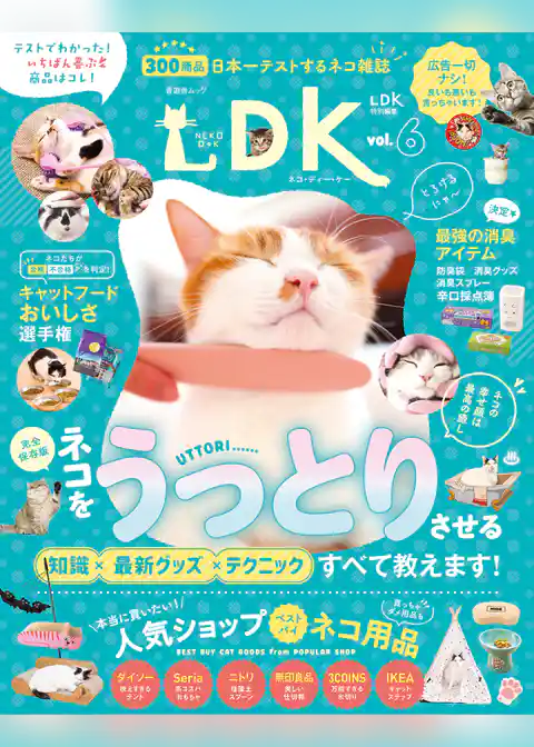 晋遊舎ムック　ネコDK vol.6