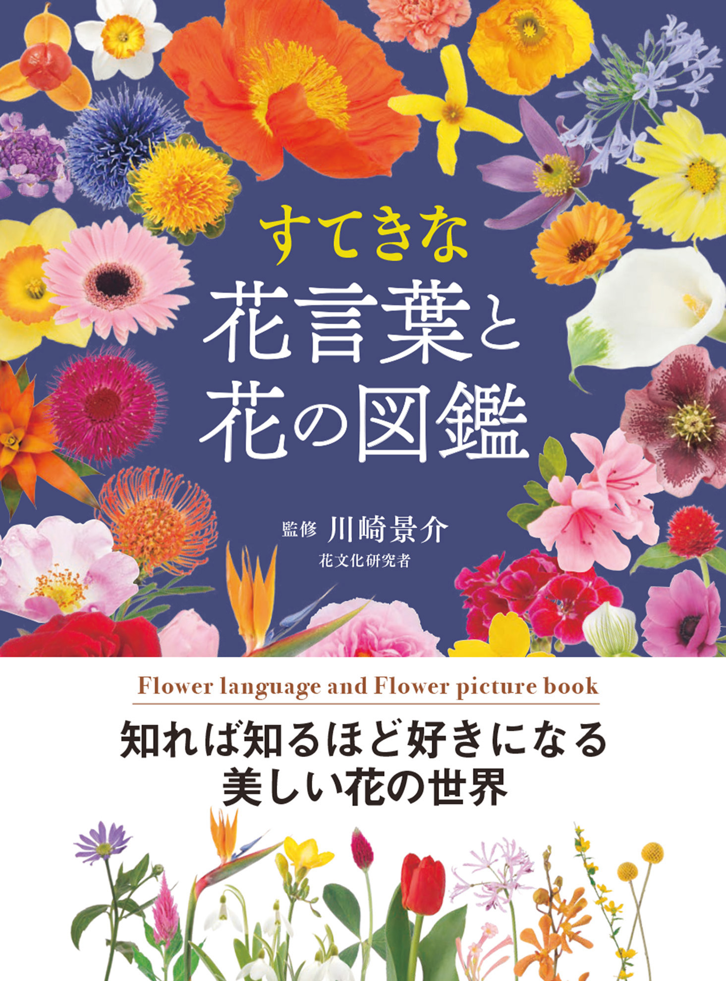 すてきな花言葉と花の図鑑 書籍 電子書籍 U Next 初回600円分無料