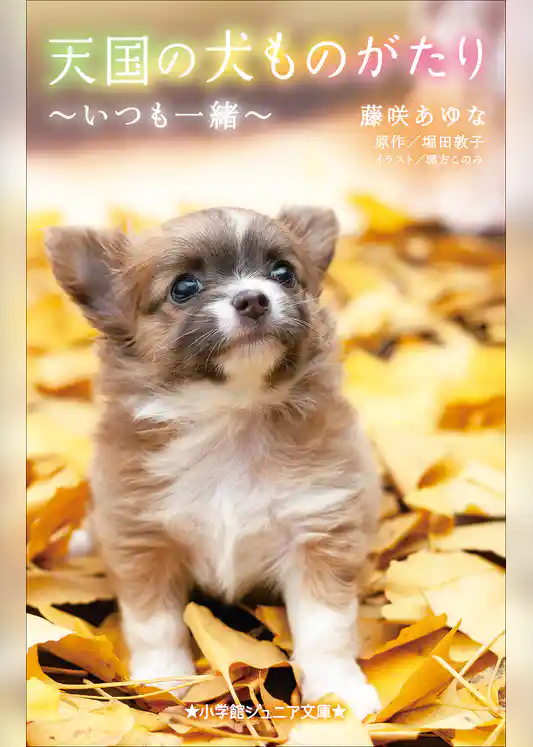 小学館ジュニア文庫　天国の犬ものがたり～いつも一緒～