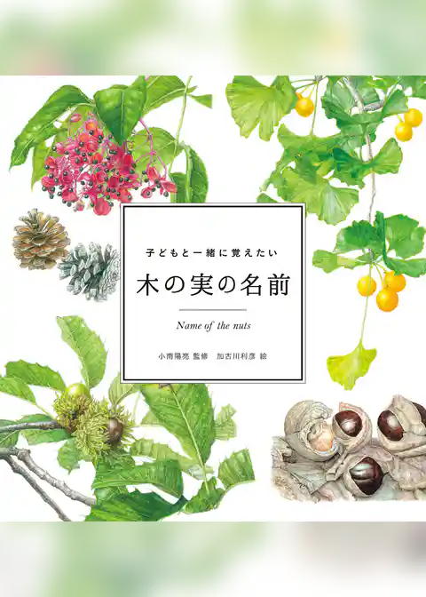 子どもと一緒に覚えたい 木の実の名前