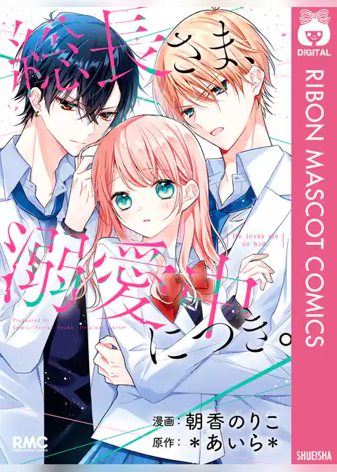 総長さま、溺愛中につき。