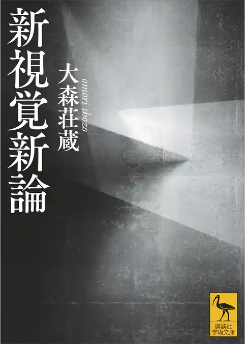 新視覚新論