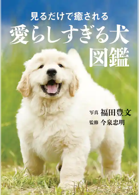 見るだけで癒される愛らしすぎる犬図鑑