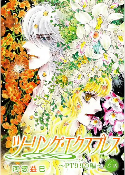 ツーリング・エクスプレス～ＰＴ９９９編～［ばら売り］