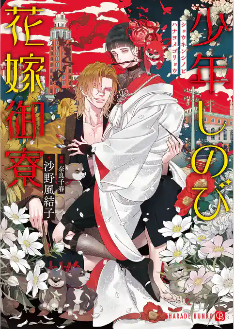 少年しのび花嫁御寮【特別版】