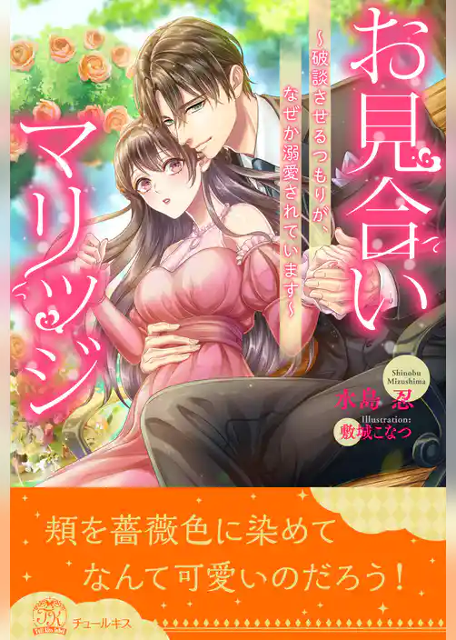 【全1-6セット】お見合いマリッジ　～破談させるつもりが、なぜか溺愛されています～【イラスト付】