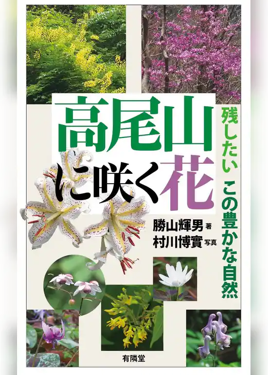 高尾山に咲く花