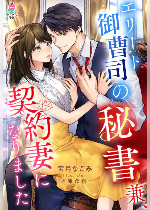 エリート御曹司の秘書兼、契約妻になりました