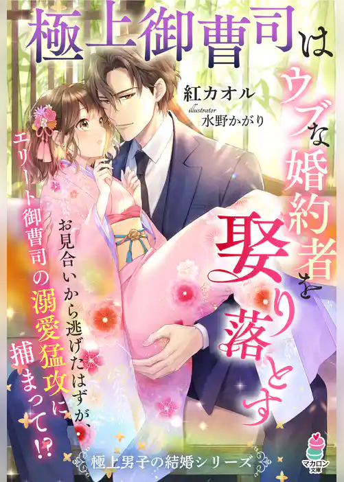 極上御曹司はウブな婚約者を娶り落とす【極上男子の結婚シリーズ】