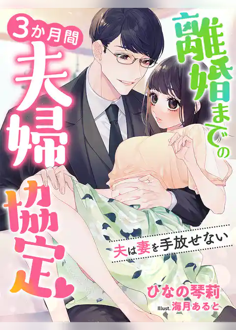 離婚までの３か月間夫婦協定～夫は妻を手放せない～