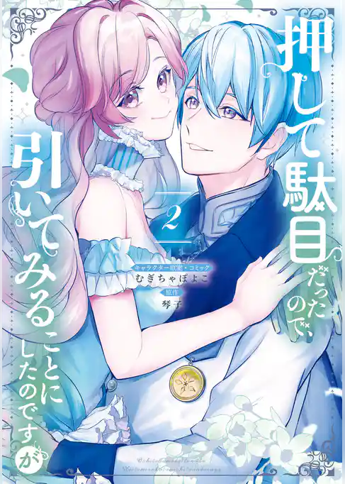 押して駄目だったので、引いてみることにしたのですが