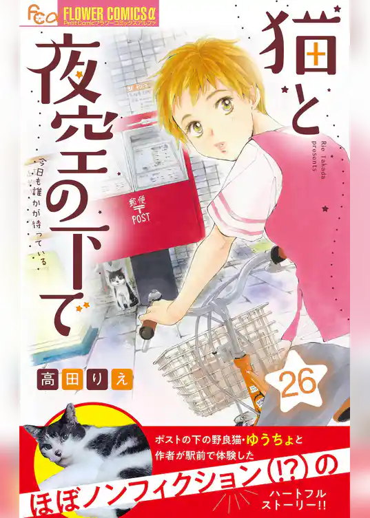 猫と夜空の下で【マイクロ】