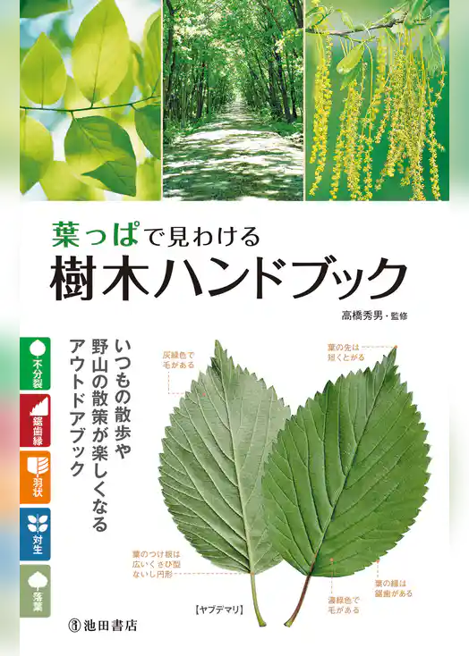 葉っぱで見わける 樹木ハンドブック（池田書店）