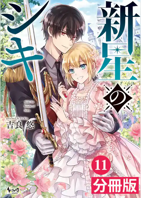 新星のシキ【分冊版】