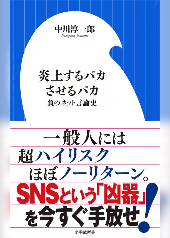 炎上するバカさせるバカ　～負のネット言論史～（小学館新書）