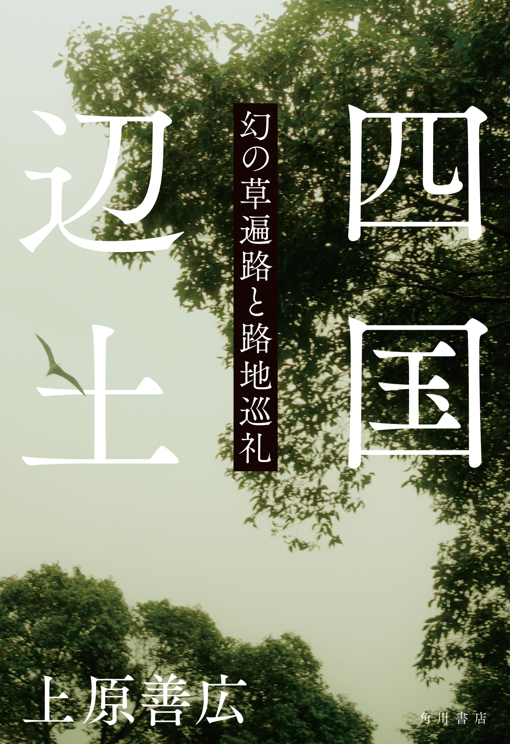 四国辺土 幻の草遍路と路地巡礼(書籍) - 電子書籍 | U-NEXT 初回600円