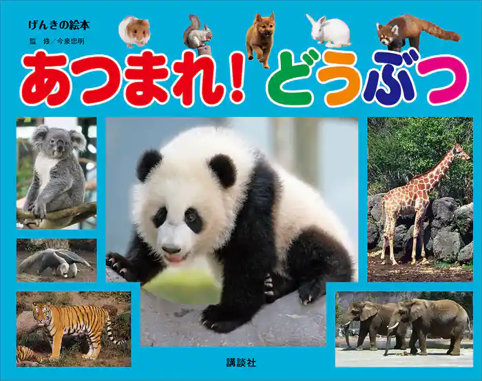げんきの絵本　あつまれ！　どうぶつ